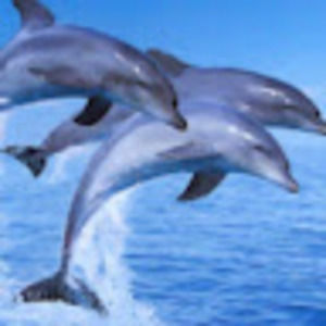 Meet your Posher, Joanna